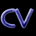 curriculum vitae