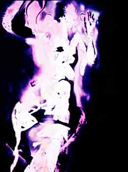 infra-red bodygram
