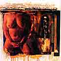 polaroid folio thumbnail