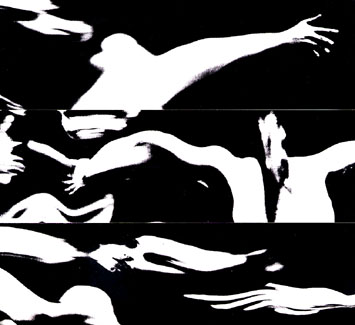 B&W panel